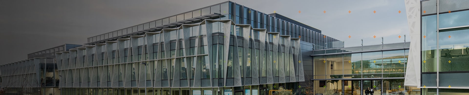 Arm 領導團隊 Banner